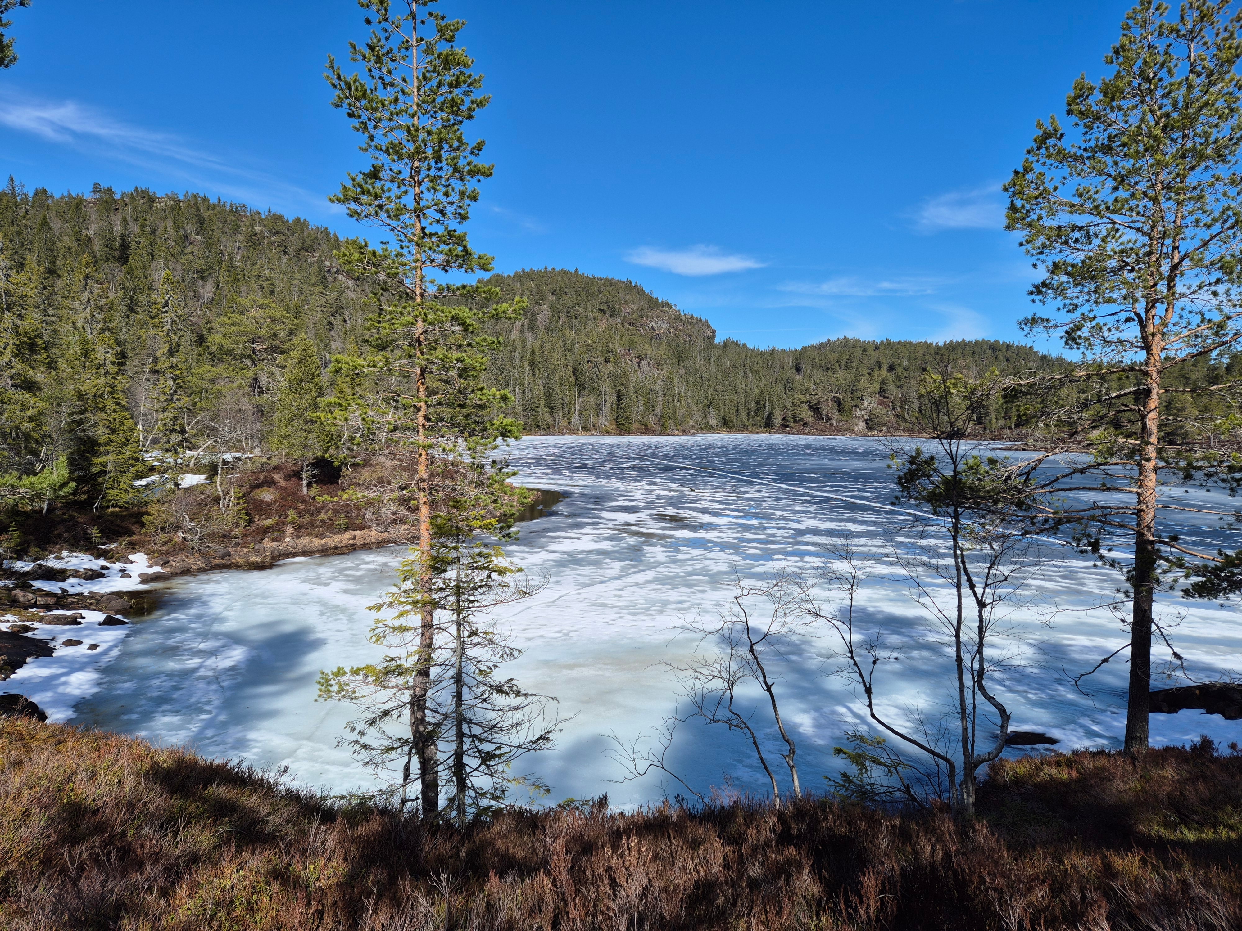Treningsløp Spiten Skileik